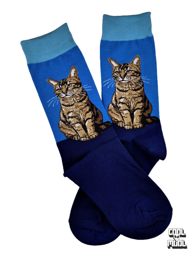 Realistic brown tabby cat sitting attentively woven crew socks made of two-tone royal blue and navy cotton fabric